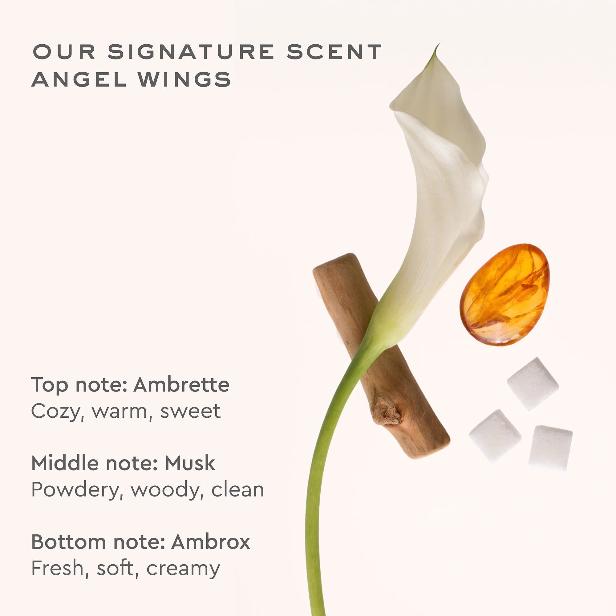 Aura Hair + Body Mist™ in Angel Wings - Image 4