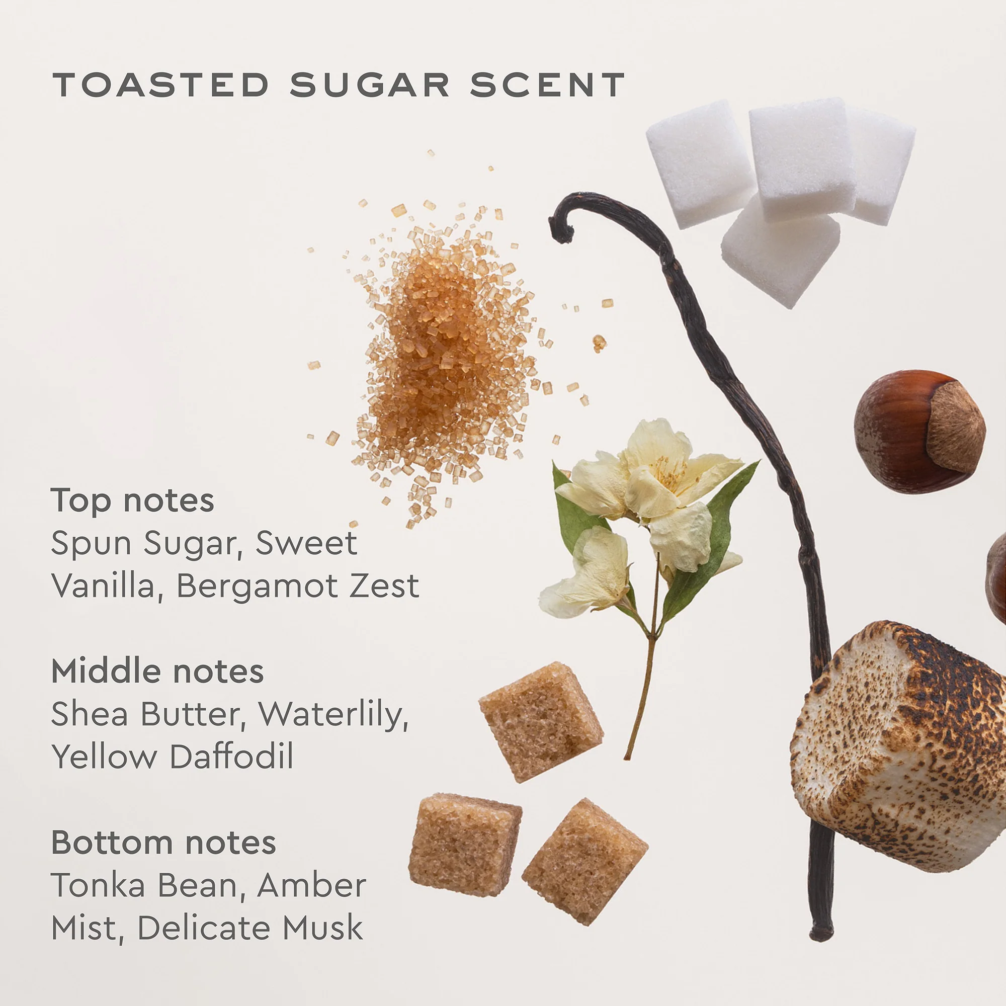 Aura Hair + Body Mist™ in Toasted Sugar - Image 4